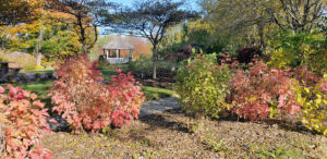 Gross Catholic's Geo Garden