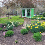 Library in the garden